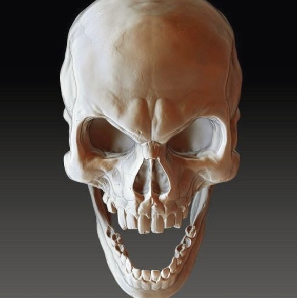 Meet your Posher, Zaezae - Picture 1 of 1